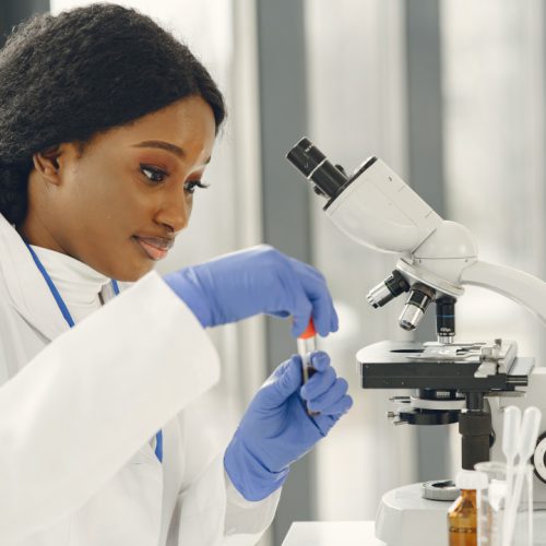 Laboratory Analysis